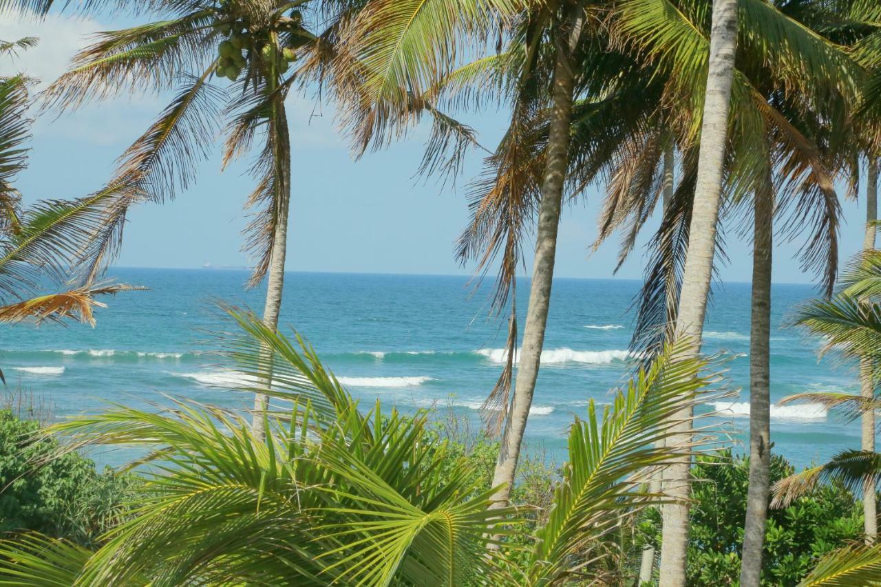 Coconut Hill Homestay Mirissa Esterno foto
