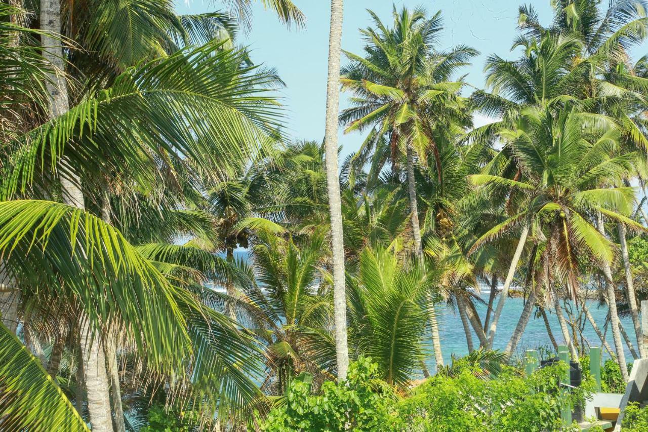 Coconut Hill Homestay Mirissa Esterno foto